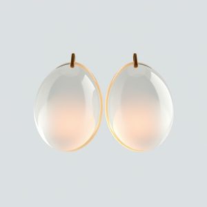 boucle d oreilles plume